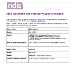 Example of NDIS Plan support categories for funding